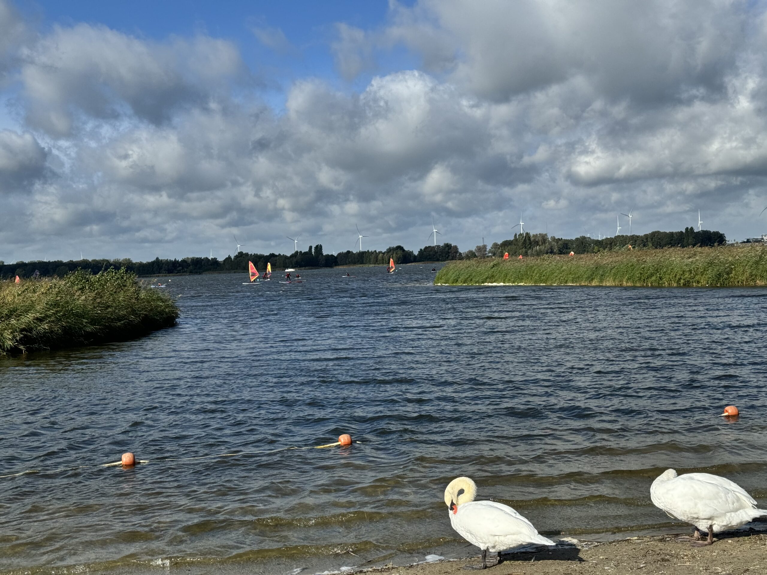 Marie Curie Realschule Bottrop